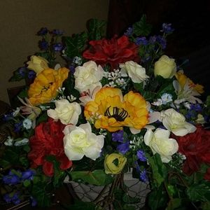 Meet your Posher, Bobbi